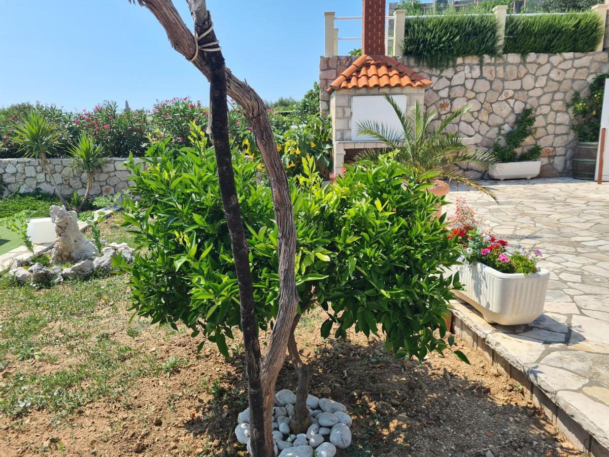 Villa Sea Oasis Ratac Slano Luaran gambar